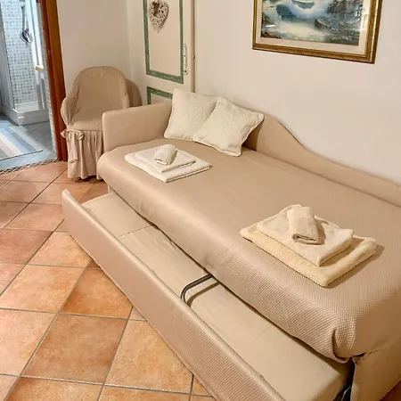 Gli Olivastri *
