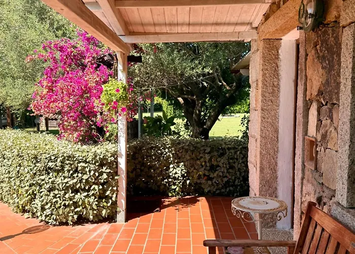 Apartament Gli Olivastri